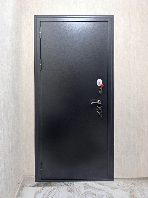 Порошковая стальная дверь